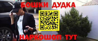 индика Владивосток