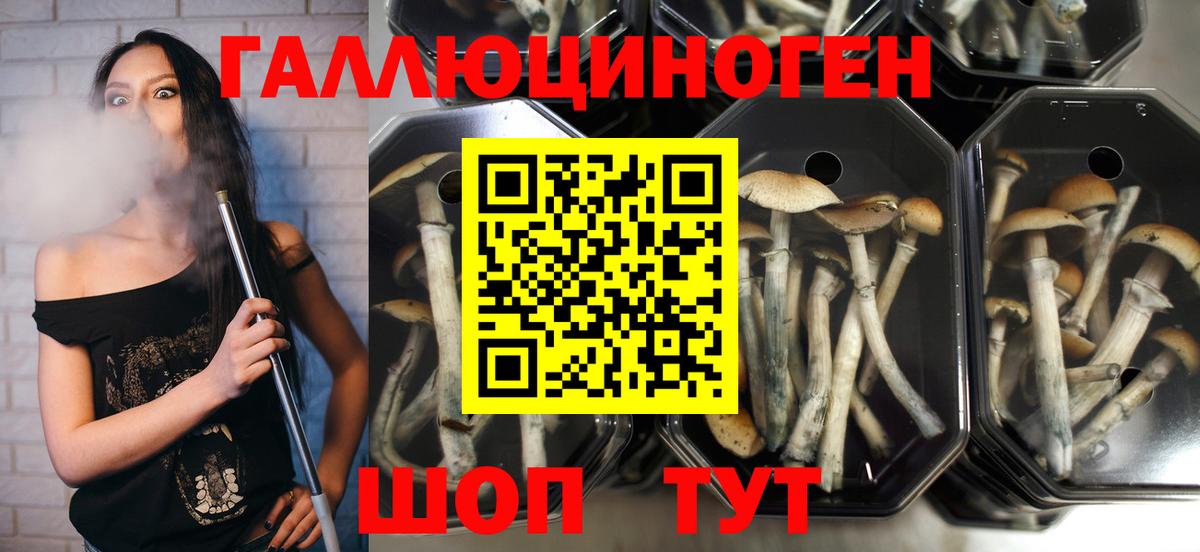 Галлюциногенные грибы GOLDEN TEACHER Вольск