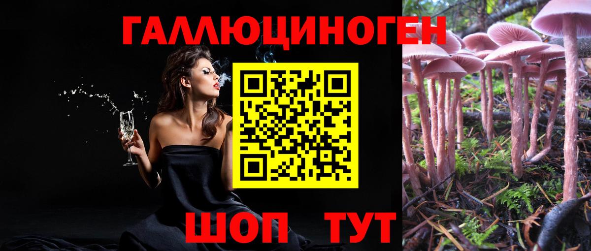 Вольск  Псилоцибиновые грибы мухоморы  Псилоцибиновые грибы Magic Shrooms  Вход с VPN 